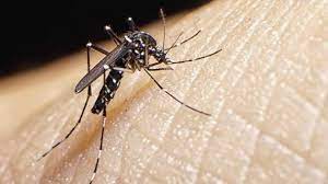 País registra más de 18 mil casos de dengue