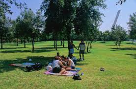 Clima favorable para actividades al aire libre, afirma Meteorología