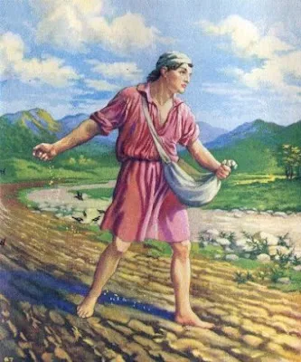 PALABRA DE DIOS MIERCOLES DE LECTURA Aquellos que escuchan la palabra, la aceptan y dan una cosecha: unos, de treinta; otros, de sesenta; y otros, de ciento por uno.