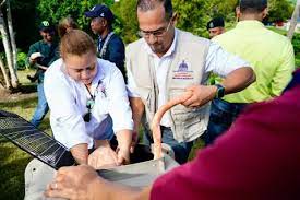 Medio Ambiente rescata siete flamencos en alojamiento turístico de Puerto Plata 