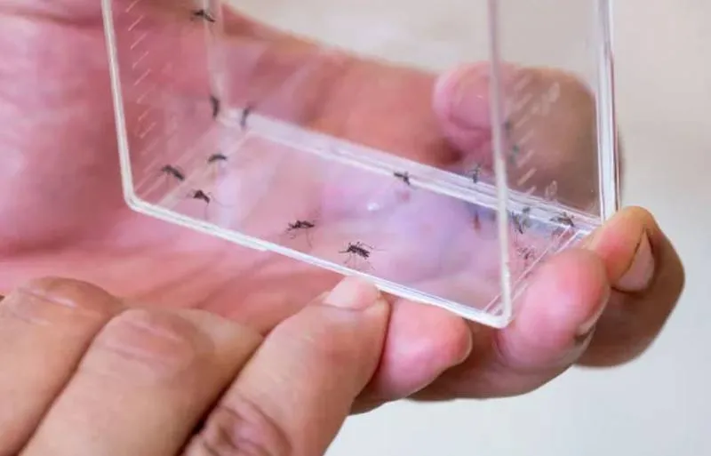 Puerto Rico declara emergencia sanitaria por brote histórico de Dengue