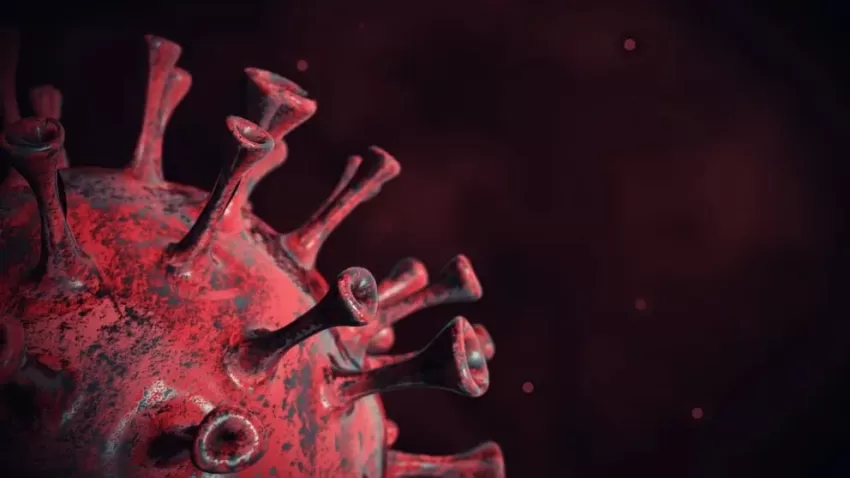 Cómo la pandemia por COVID cambió drásticamente la esperanza de vida en el mundo