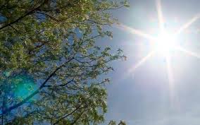 Onamet pronostica temperaturas ligeramente calurosas para hoy