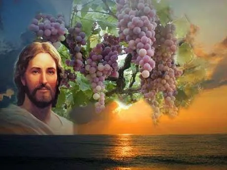 PALABRA DE DIOS DOMINGO DE LECTURA Yo soy la vid, ustedes los sarmientos.