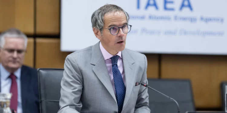 Jefe del OIEA no asistirá a la conferencia de paz en Suiza