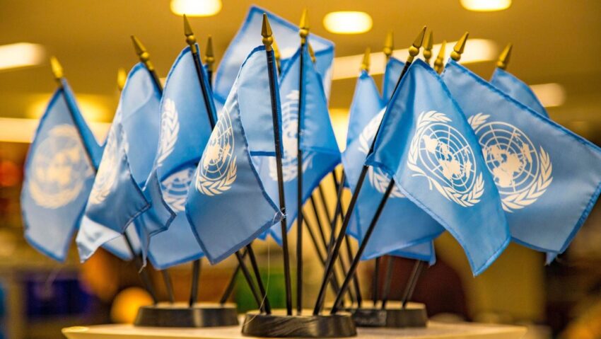 Relatores de la ONU alertan sobre "riesgos de estigmatización" a las ONG en Perú