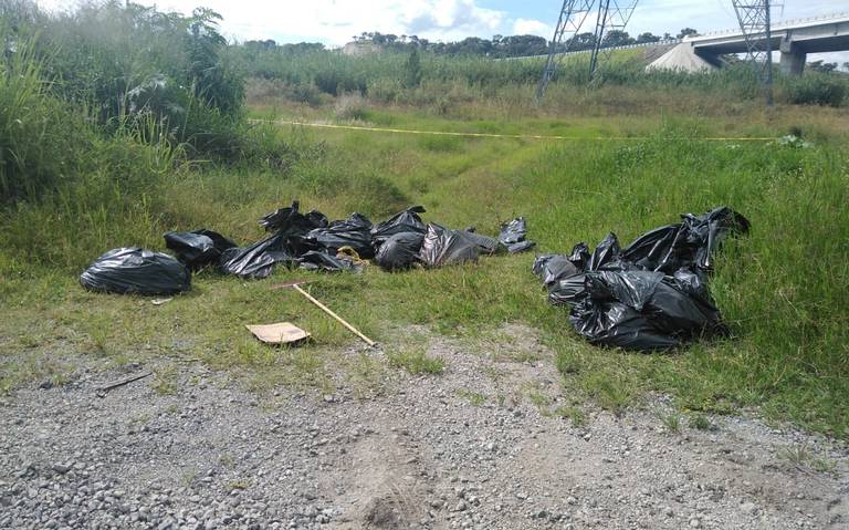 Hallan posibles restos humanos en bolsas durante operativo policial en México