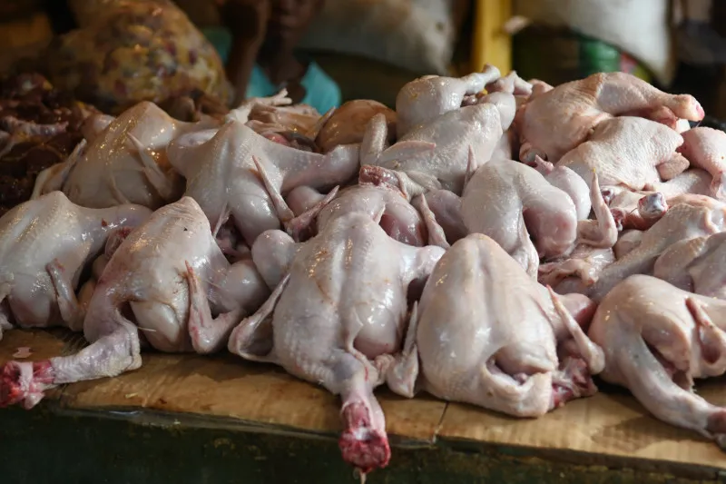 Pollo en mercados: precio sigue por encima de RD$80 y la calidad es “inestable”