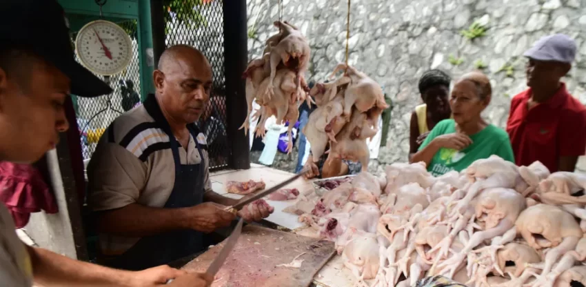 Avicultores: La libra pollo en granja vale RD$42, Agricultura distribuye más de 6 millones de libras
