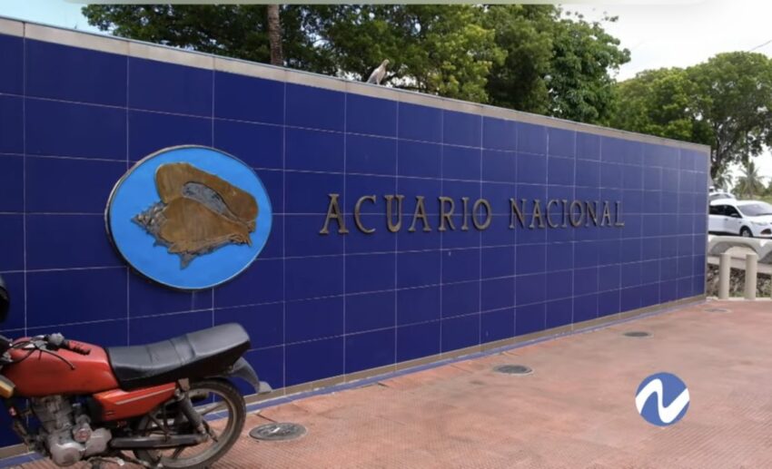 Acuario Nacional reabrirá con renovaciones tras un año de remodelaciones