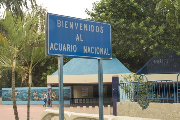 El Acuario Nacional emerge del deterioro al remozamiento; DGCP confirma irregularidades en pasada gestión