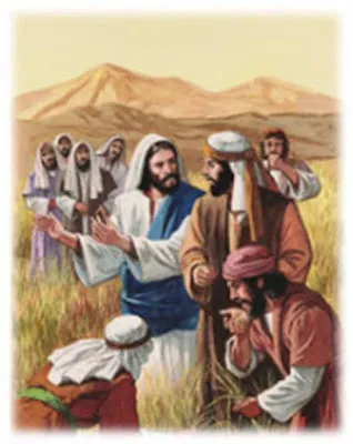 PALABRA DE DIOS SABADOS DE LECTURA "El Hijo del hombre también es dueño del sábado".