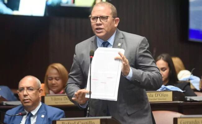 Vocero de la Fuerza del Pueblo en la Cámara de Diputados asegura población se siente insegura hasta en su hogar