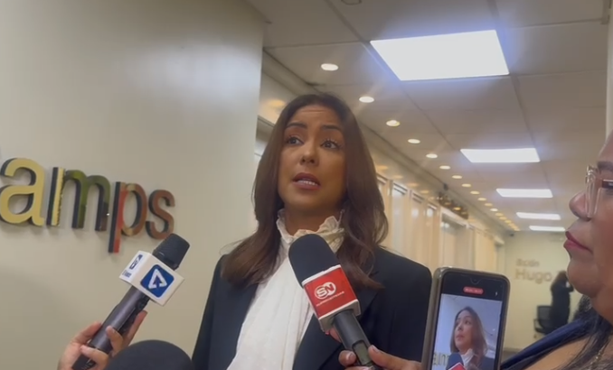 Diputada Selinée Méndez opina clase media sería “muy afectada” por reforma fiscal