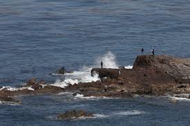 Qué se sabe sobre los restos humanos encontrados el día de Navidad en una playa de EE.UU.
