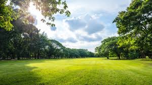 Día de Año Nuevo con clima ideal para actividades al aire libre, informa Meteorología