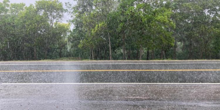 Pronostican chubascos débiles a moderados