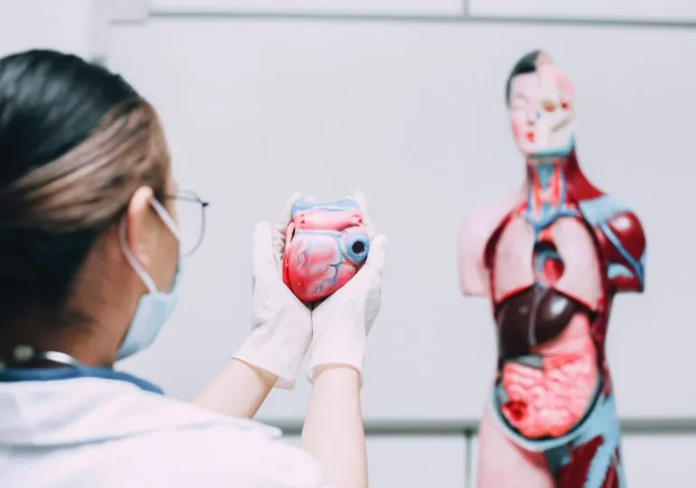 Cleveland Clinic supera sus propios récords en trasplante de órganos