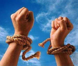 PALABRA DE DIOS MIERCOLES DE LECTURA "Si se mantienen fieles a mi palabra, serán verdaderamente discípulos míos, conocerán la verdad y la verdad los hará libres".