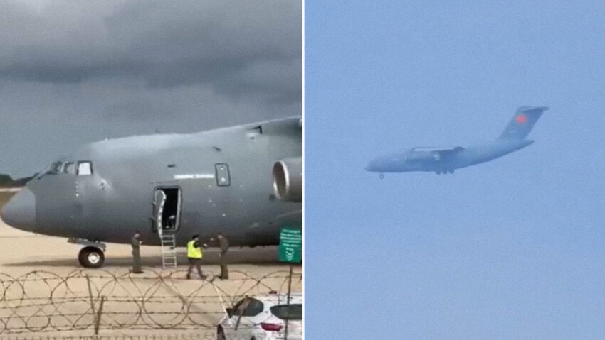 Un 'huésped' inusual realiza un aterrizaje en el Líbano