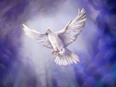 PALABRA DE DIOS LUNES DE LECTURA Él dará testimonio de mí y ustedes también darán testimonio.