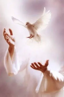 PALABRA DE DIOS DOMINGO DE LECTURA El Espíritu Santo que mi Padre les enviará en mi nombre, les enseñará todas las cosas y les recordará todo cuanto yo les he dicho.