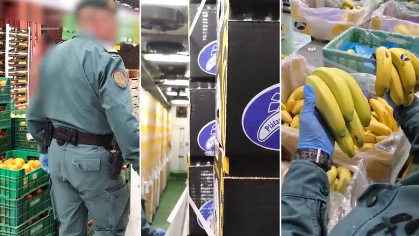 Una empresa está acusada de 'falsificar' 2.000 toneladas de fruta y se enfrenta a una sanción de hasta 3 millones de euros.