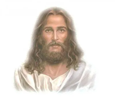 PALABRA DE DIOS VIERNES DE LECTURA No son ustedes los que me han elegido, soy yo quien los ha elegido.