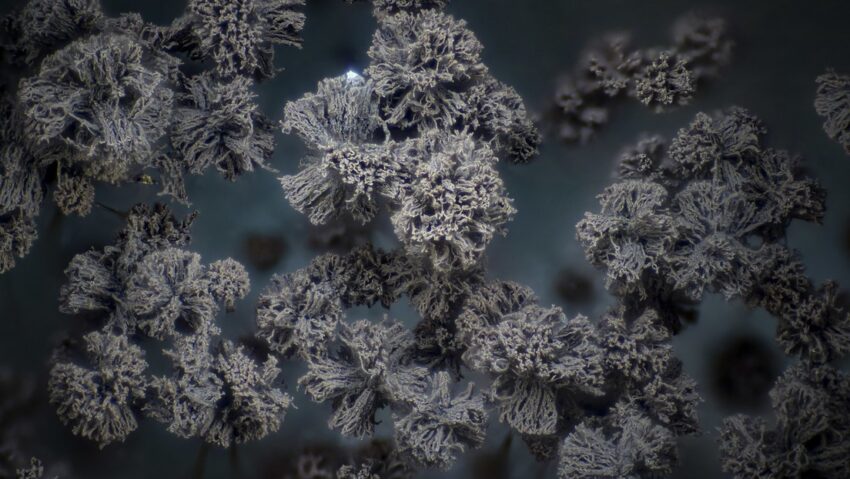 Una seria amenaza se cierne sobre Europa, Asia y América