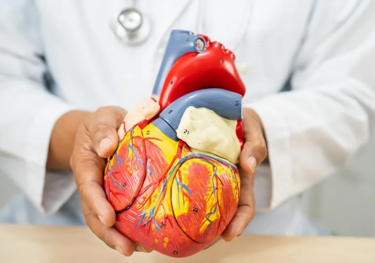 Cleveland:  Recientes hallazgos realizados por médicos de Cleveland Clinic revelan que la combinación de un nuevo fármaco, el obicetrapib, con una medicina ampliamente utilizada, la ezetimiba, redujo los niveles de colesterol de lipoproteína de baja densidad (LDL, por sus siglas en inglés) en un 48.6 % tras cerca de tres meses, lo que produjo resultados más eficaces que cualquiera de los dos fármacos por separado. Los resultados del ensayo clínico de fase 3 se acaban de presentar en una sesión científica durante la reunión anual de la European Atherosclerosis Society, en Glasgow, Escocia, y fueron publicados en forma simultánea en la The Lancet. Un excesivo nivel de colesterol LDL (a menudo denominado colesterol “malo”) puede conducir a la enfermedad aterosclerótica, la acumulación de placa en las paredes de las arterias, que aumenta el riesgo de sufrir un infarto o un accidente cerebrovascular. Los pacientes que la padecen, o que están en alto riesgo de desarrollarla, pueden reducir las probabilidades de eventos adversos al disminuir los niveles de colesterol LDL. “A pesar de las terapias con estatina y de otros medicamentos sin estatinas, muchos pacientes con alto riesgo de padecer enfermedades cardíacas, o que ya sufren de enfermedades del corazón, no logran alcanzar sus objetivos en colesterol LDL”, asegura Ashish Sarraju, M.D, autor líder y cardiólogo preventivo en Cleveland Clinic. “Esta combinación de terapia ayuda a los pacientes que presentan un alto riesgo y necesitan una ayuda adicional para reducir su colesterol y aumentar la posibilidad de alcanzar sus metas”. Muchos factores pueden llevar a altos niveles de LDL, como una alimentación deficiente, el sobrepeso, fumar o el aumento en la edad. Sin embargo, otros factores, como los genéticos, no pueden modificarse. Para algunas personas, los cambios en el estilo de vida pueden ser beneficiosos, pero para muchas otras, es necesario tomar medicamentos. Hay quienes incluso necesitan múltiples terapias de reducción de lípidos. En este ensayo clínico multicéntrico, los investigadores estudiaron a 407 pacientes con niveles de colesterol LDL por encima de 70 mg/dL a pesar de haber recibido terapia de reducción lipídica máxima que incluyó estatinas en casi todos los casos. Se les asignó al azar el tratamiento con la combinación de dosis fija de obicetrapib y ezetimibe, ya fuese con la terapia sola, o con el placebo equivalente. Tras 84 días de tratamiento, la terapia de dosis fija redujo el colesterol LDL en un 48.6 % en comparación con el uso único del placebo. Mientras que el colesterol LDL disminuyó en un 31.7 % con obicetrapib en monoterapia, en comparación con el placebo. En general, todos los tratamientos tuvieron una tolerancia adecuada.  “Estos resultados respaldan el potencial de utilizar esta combinación de dosis fija para ayudar a tratar a una población de pacientes que a menudo es difícil de tratar”, afirmó el Dr. Steven Nissen, autor principal y director académico del Heart, Vascular & Thoracic Institute de Cleveland Clinic. “Si las autoridades reguladoras lo aprueban, esto podría permitir que los pacientes que presentan alto riesgo, y que necesitan una reducción adicional del colesterol LDL, puedan aumentar las probabilidades de alcanzar sus objetivos”. El ensayo fue financiado por NewAmsterdam Pharma El Dr. Nissen se ha desempeñado como consultor de numerosas empresas farmacéuticas y ha supervisado ensayos clínicos para organizaciones como Amgen, AbbVie, AstraZeneca, Bristol-Myers Squibb, Mineralys, NewAmsterdam Pharma, Eli Lilly and Company y Novartis. Sin embargo, no acepta honorarios, remuneración por consultoría ni otra compensación de entidades comerciales. El Dr. Sarraju ha brindado asesoría a varias empresas farmacéuticas y participado en ensayos clínicos para NewAmsterdam Pharma, Mineralys y Kardigan, sin recibir compensación personal o ningún tipo de honorario. Acerca de Cleveland Clinic Cleveland Clinic es un centro médico académico de múltiples especialidades sin fines de lucro que integra la atención clínica y hospitalaria con la investigación y la educación. Ubicada en Cleveland, Ohio, fue fundada en 1921 por cuatro médicos de renombre con la visión de brindar una atención excepcional al paciente basada en los principios de cooperación, compasión e innovación. Cleveland Clinic ha sido pionera en muchos avances médicos, incluida la cirugía de derivación de la arteria coronaria y el primer trasplante de cara en los Estados Unidos. Cleveland Clinic es reconocida constantemente en los EE. UU. y en todo el mundo por su experiencia y atención. Entre los 77,000 empleados de Cleveland Clinic en todo el mundo hay más de 5,658 médicos e investigadores asalariados, y 19,000 enfermeras registradas y proveedores de práctica avanzada, que representan 140 especialidades y subespecialidades médicas. Cleveland Clinic es un sistema de salud de 6,699 camas que incluye un campus principal de 173 acres cerca del centro de Cleveland, 23 hospitales, más de 275 instalaciones para pacientes ambulatorios, incluidas ubicaciones en el noreste de Ohio; sureste de Florida; Las Vegas, Nevada; Toronto, Canadá; Abu Dhabi, Emiratos Árabes Unidos; y Londres, Inglaterra. En 2022, hubo 12.8 millones de encuentros ambulatorios, 303,000 admisiones y observaciones hospitalarias, y 270,000 cirugías y procedimientos en todo el sistema de salud de Cleveland Clinic. Los pacientes acudieron a recibir tratamiento de todos los estados y de 185 países.