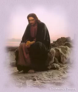 PALABRA DE DIOS LUNES DE LECTURAS El Hijo del hombre no tiene en donde reclinar la cabeza.