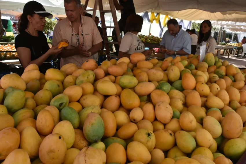 Celebran en Baní 21 edición de la Feria Expo Mango 2025