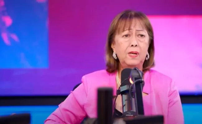 Rosa NG Báez asegura los chinos pagan sus impuestos; dice gobierno debe abrirse más a China