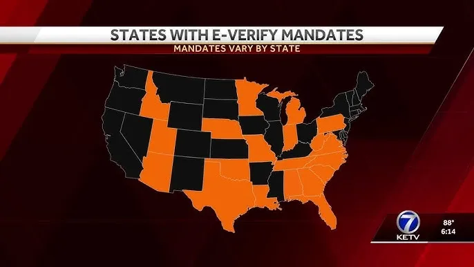 🇺🇸 Senadora de Nebraska elogia redada de ICE y refuerza E‑Verify en sector privado