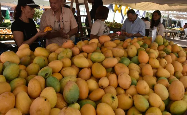 Ministro Limber Cruz proyecta exportaciones de mango este año ascenderán a 54 millones de dólares; convoca a Expo Mango 2025 en Baní