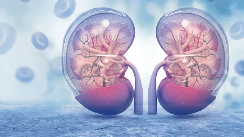 En el país se diagnostican 152 casos de cáncer renal
