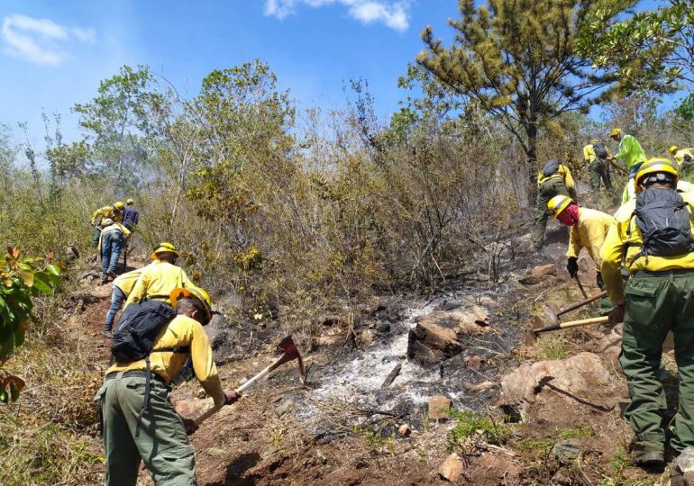 Medio Ambiente informa que incendio en Loma del Oro quedó totalmente controlado