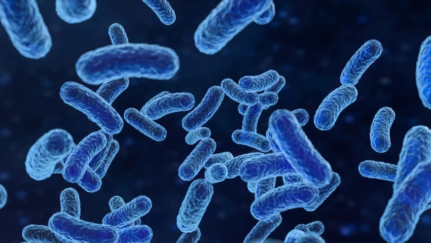 "Grave peligro": Aumento drástico de los casos de 'bacterias de pesadilla' en EE.UU.