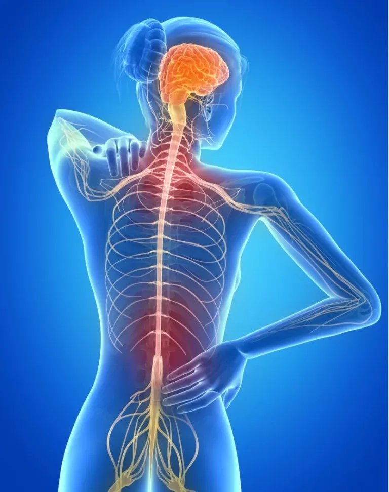 Esclerosis múltiple, una enfermedad sin cura, con múltiples tratamientos