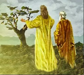 PALABRA DE DIOS SABADOS DE LECTURA Voy a aflojar la tierra alrededor y a echarle abono, para ver si da fruto. Si no, el año que viene la cortaré' ". 