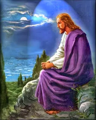 PALABRA DE DIOS JUEVES DE LECTURA ¡Cuántas veces he querido reunir a tus hijos, como la gallina reúne a sus pollitos bajo las alas, pero tú no has querido!