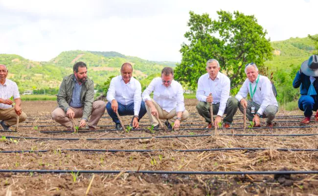 INTABACO inicia Cosecha Tabacalera 2025-2026 con siembra de más de 160 mil tareas; funcionarios destacaron impacto económico de la industria de RD