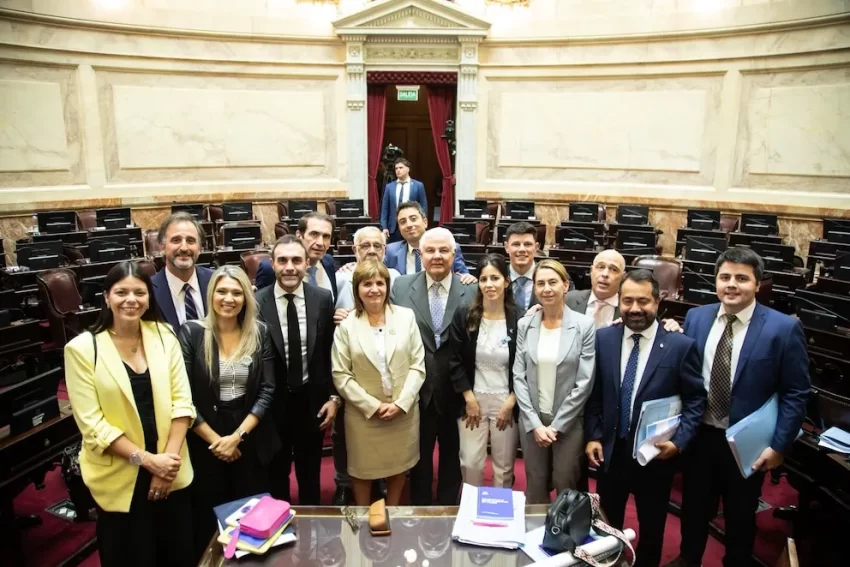 👠 La "Maratón" de Patricia Bullrich en el Senado