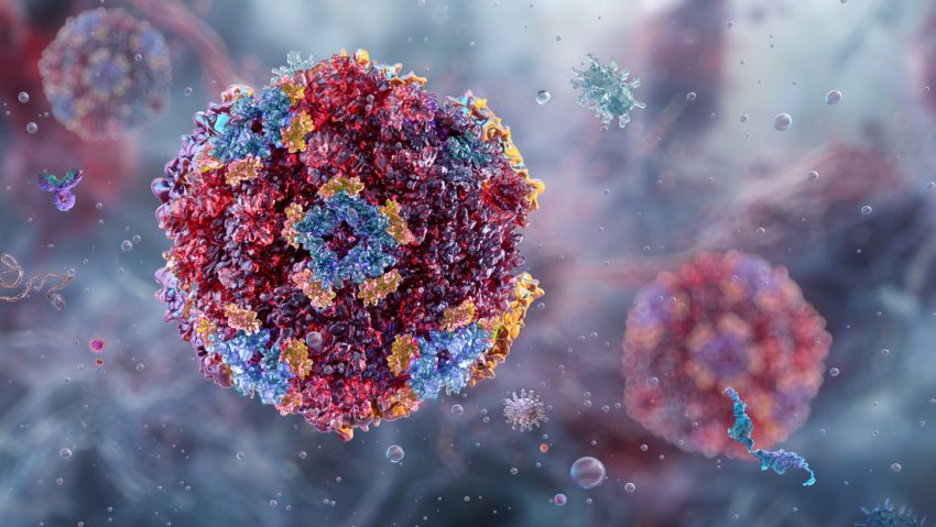 Alerta en EE.UU. tras aumento de casos de la 'enfermedad del vómito invernal'