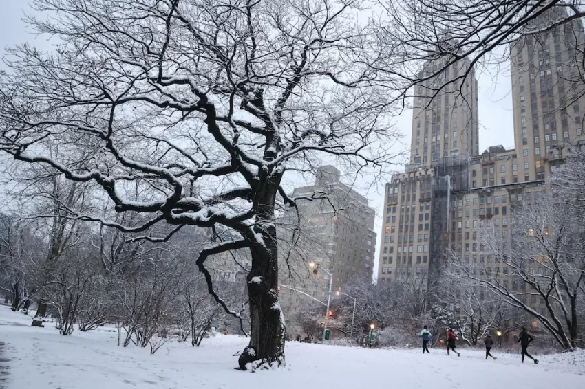 ❄️ Nueva York bajo alerta: Se prepara para la mayor nevada en tres años este fin de semana 🏙️🌨️