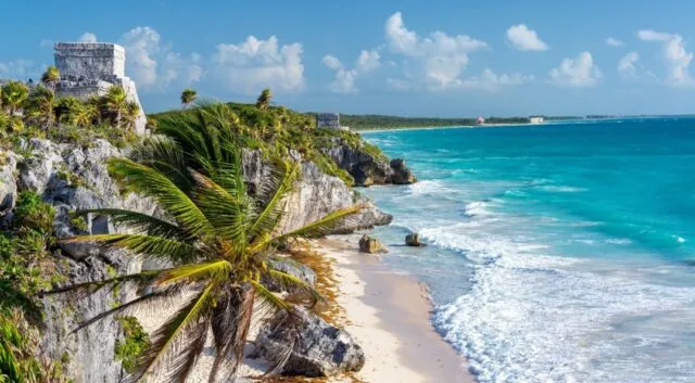Cozumel: robos a operadores náuticos generan fuertes pérdidas
