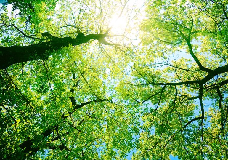 Meteorología prevé tiempo estable y favorable para las actividades al aire libre