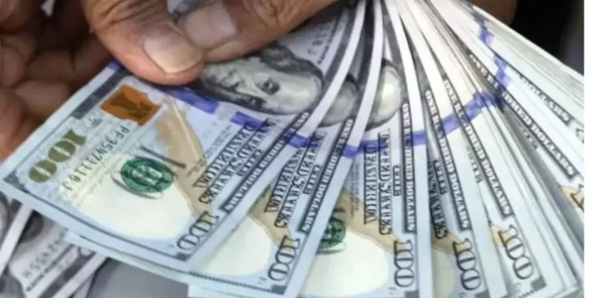 Así está el dólar hoy 31 de enero, según el Banco Central