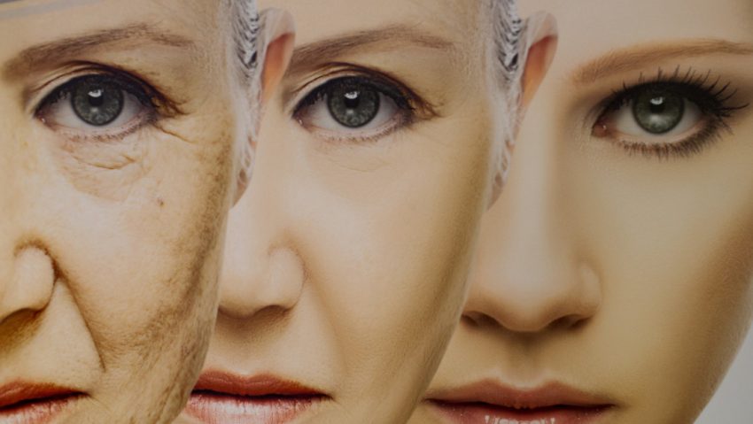 El prometedor método que podría devolver al cuerpo la capacidad para rejuvenecer células viejas