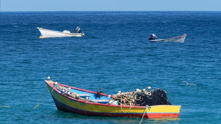 Gobierno de Trump enfrenta primera demanda por muertes en ataques en el Caribe